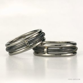 Hvidguld / Titan ringe