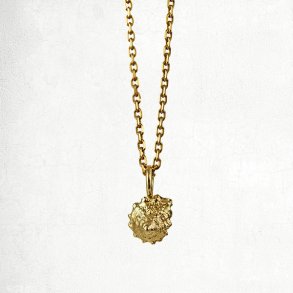 Guld konkylie vedhng